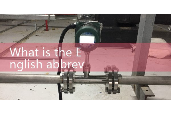 4 inch flow meter